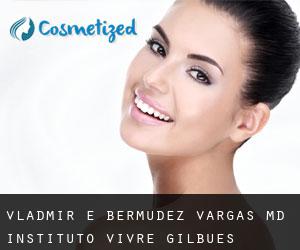 Vladmir E. BERMUDEZ VARGAS MD. Instituto Vivre (Gilbués)